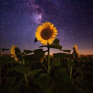 Meet your Posher, Kellie